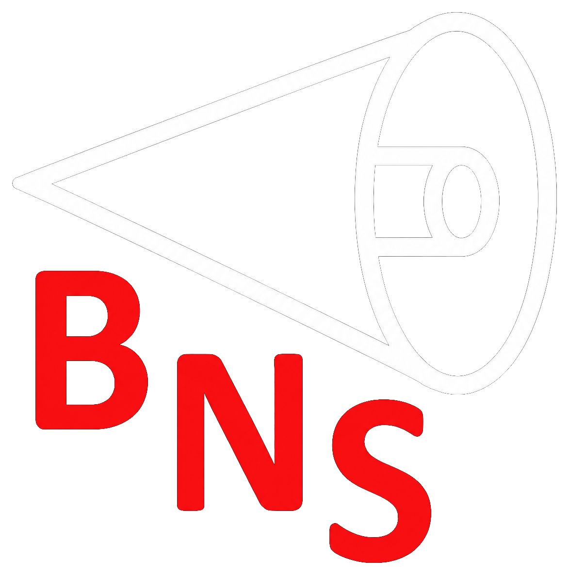 BNS logo
