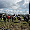 Paardensport